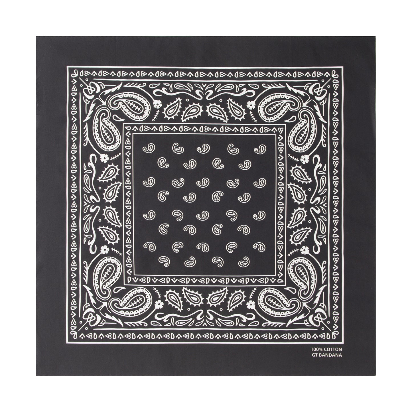 Paisley Bandana