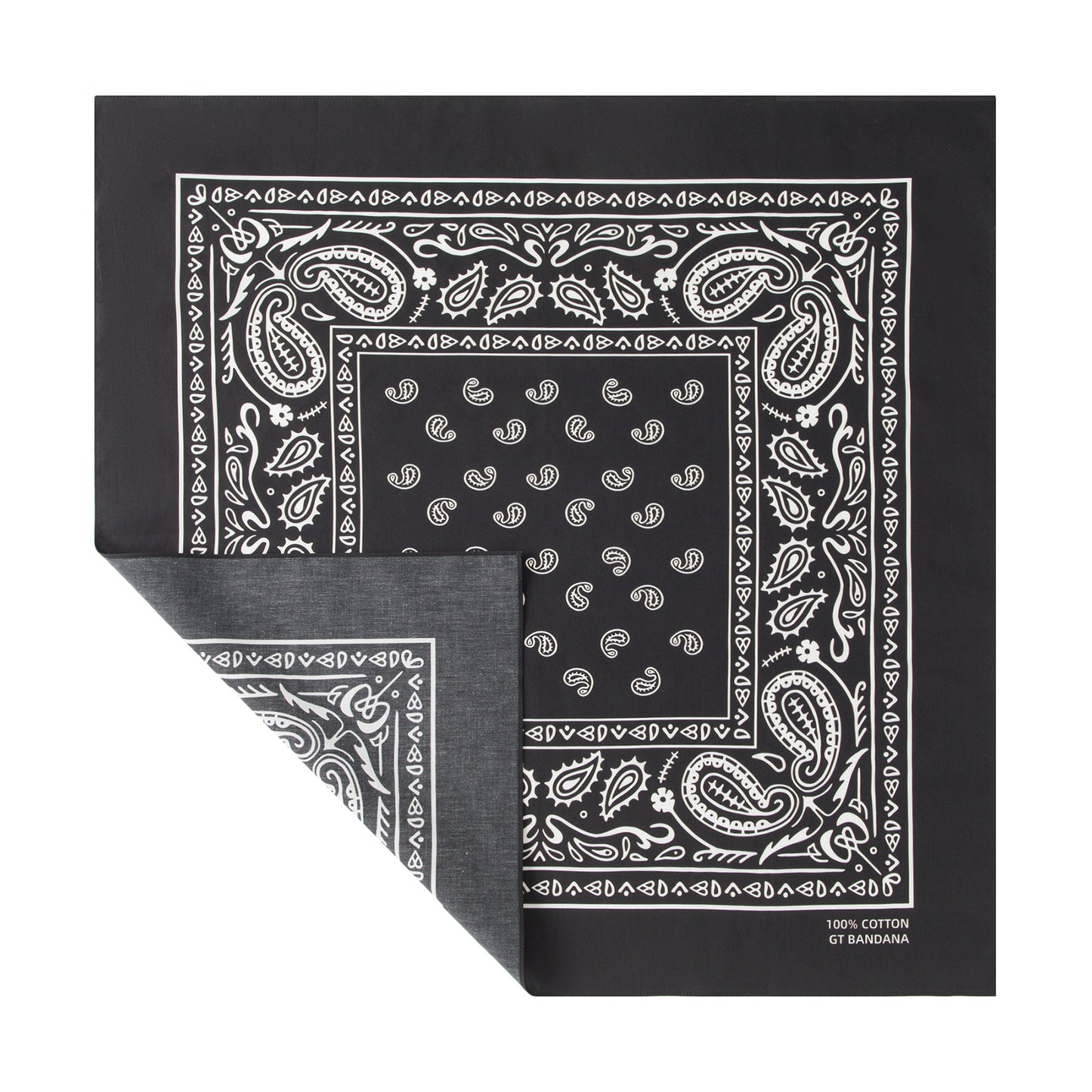 Paisley Bandana
