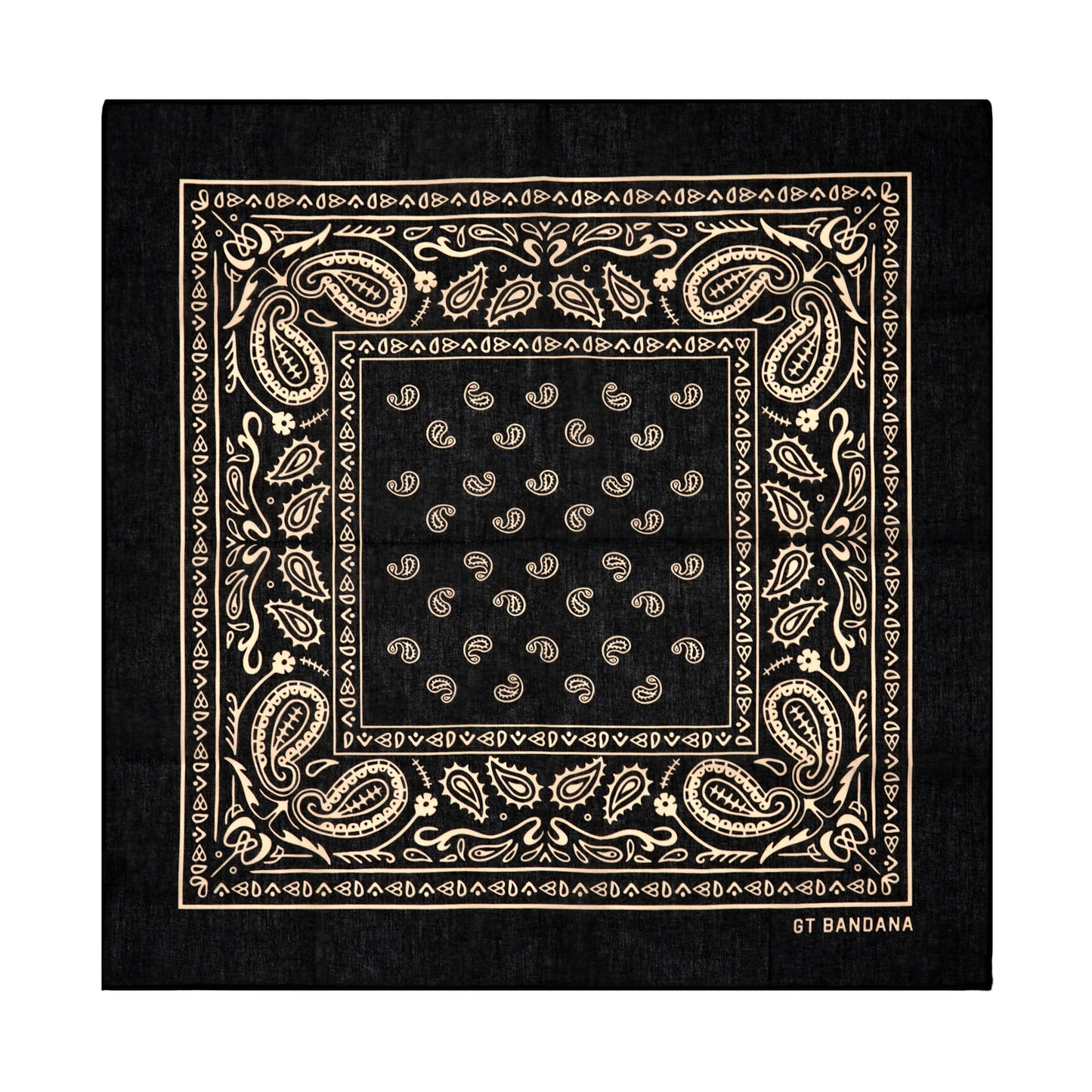 Paisley Assorted Bandana Set (6-Pack)