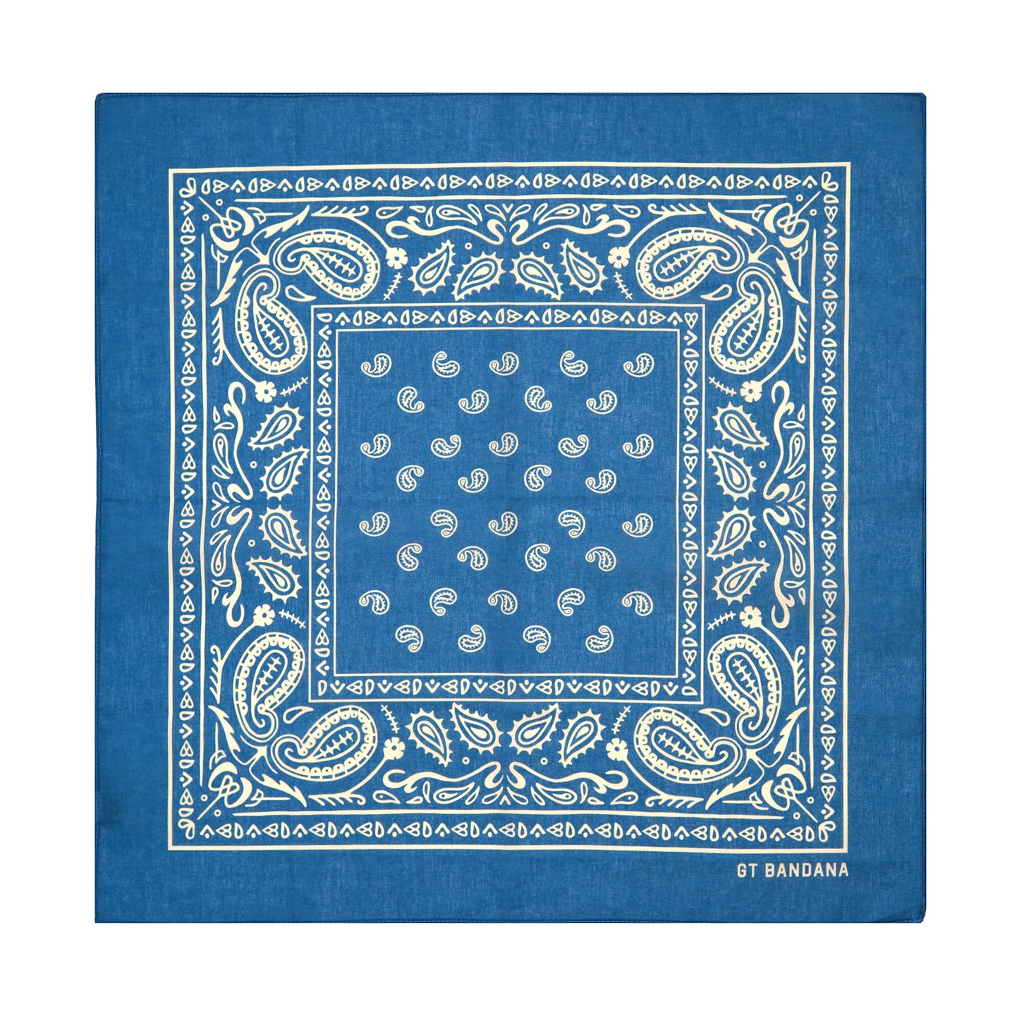 Paisley Bandana
