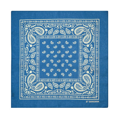 Paisley Bandana