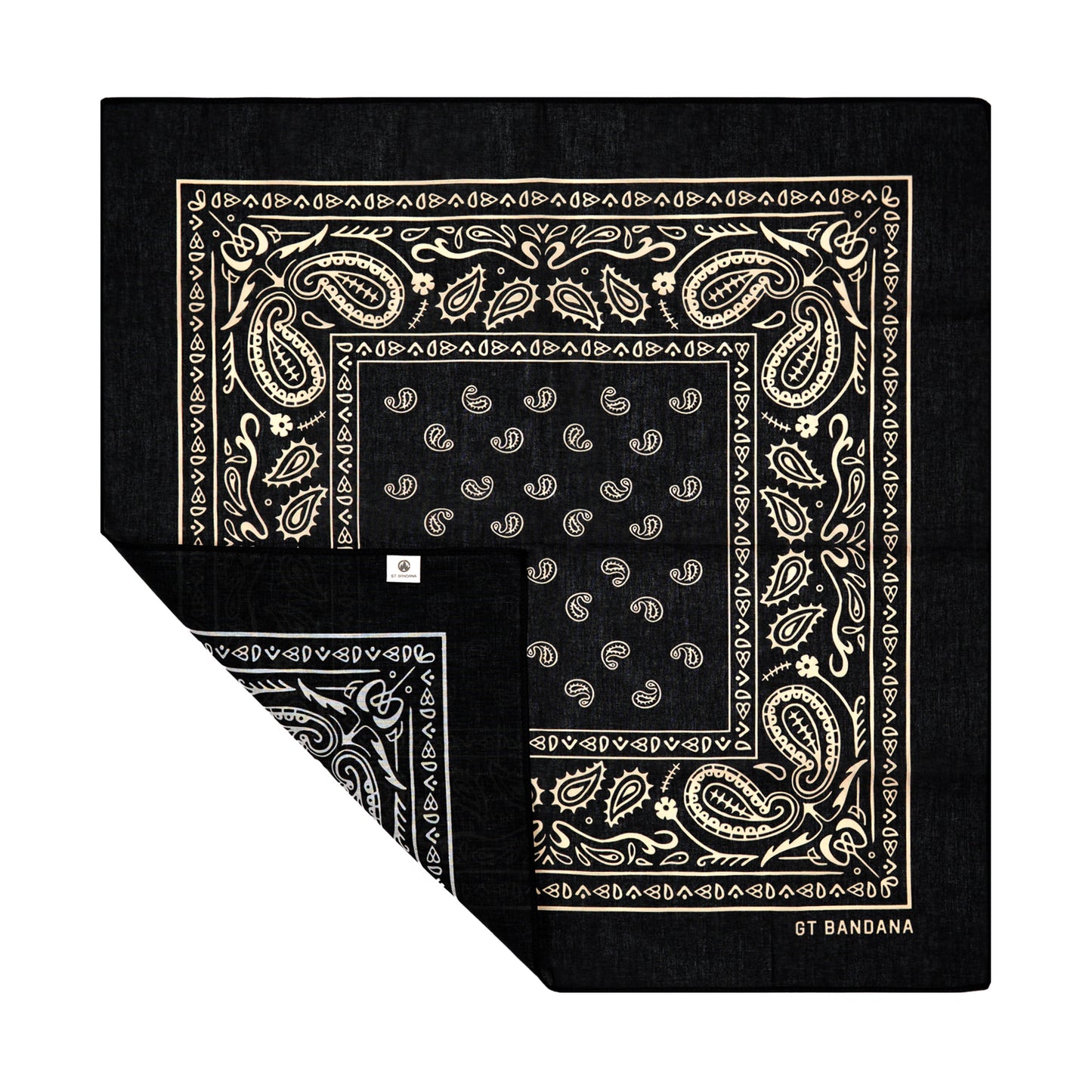 Paisley Assorted Bandana Set (6-Pack)