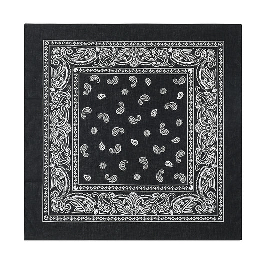 PAISLEY BANDANA