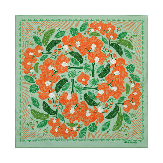 Aoi Tachibana Bandana