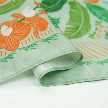 Aoi Tachibana Bandana