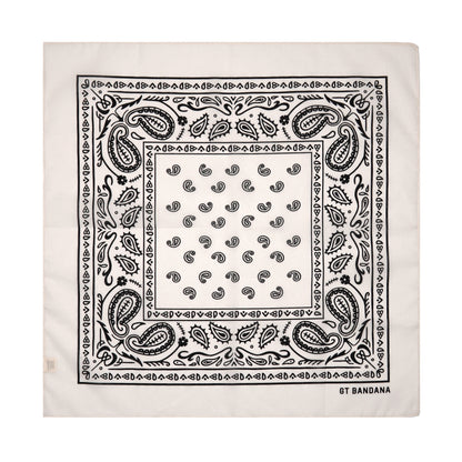 Classic Paisley Assorted Bandana Set (3-Pack)