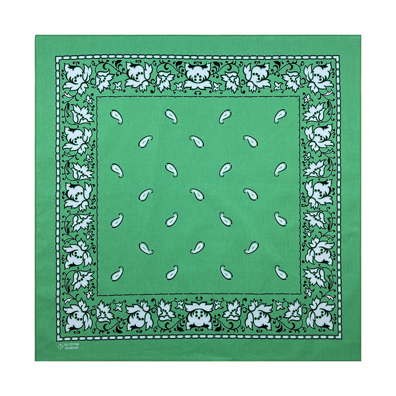 PAISLEY BANDANA