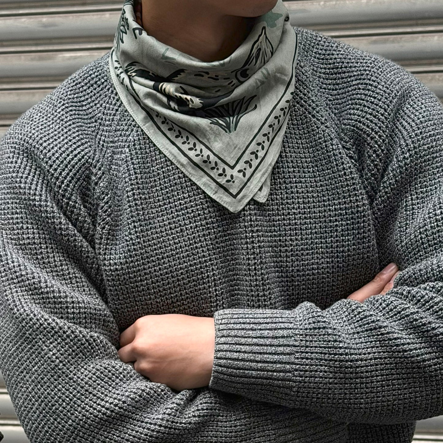 Animal Assorted Bandana Set (6-Pack)