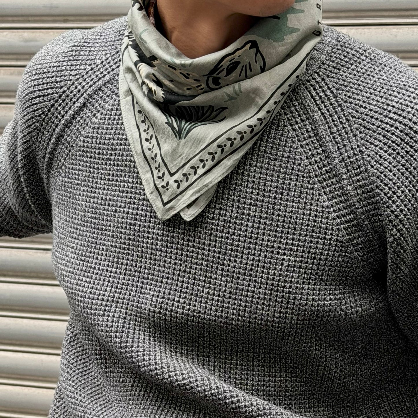 Animal Assorted Bandana Set (6-Pack)