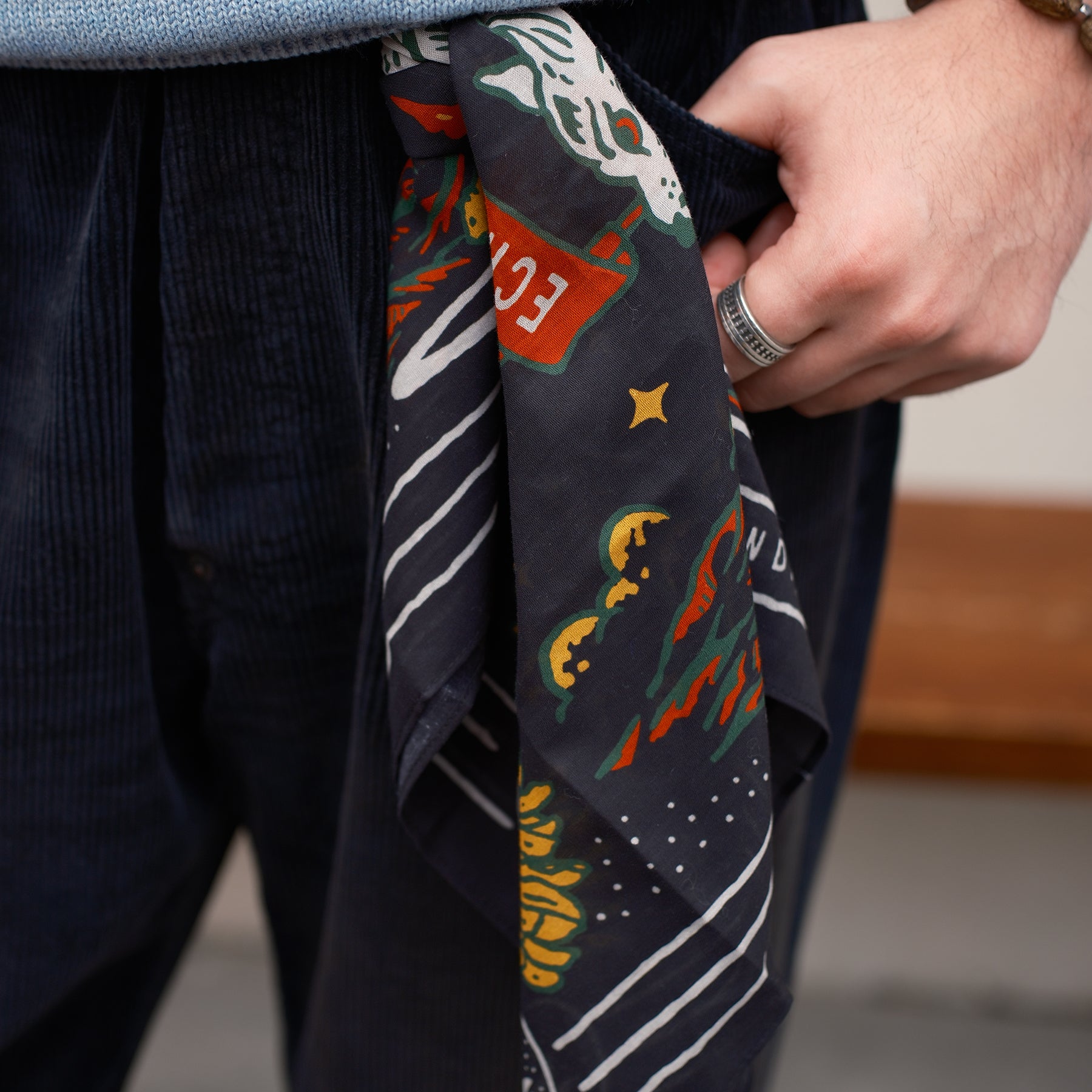 Animal Assorted Bandana Set (3-Pack)