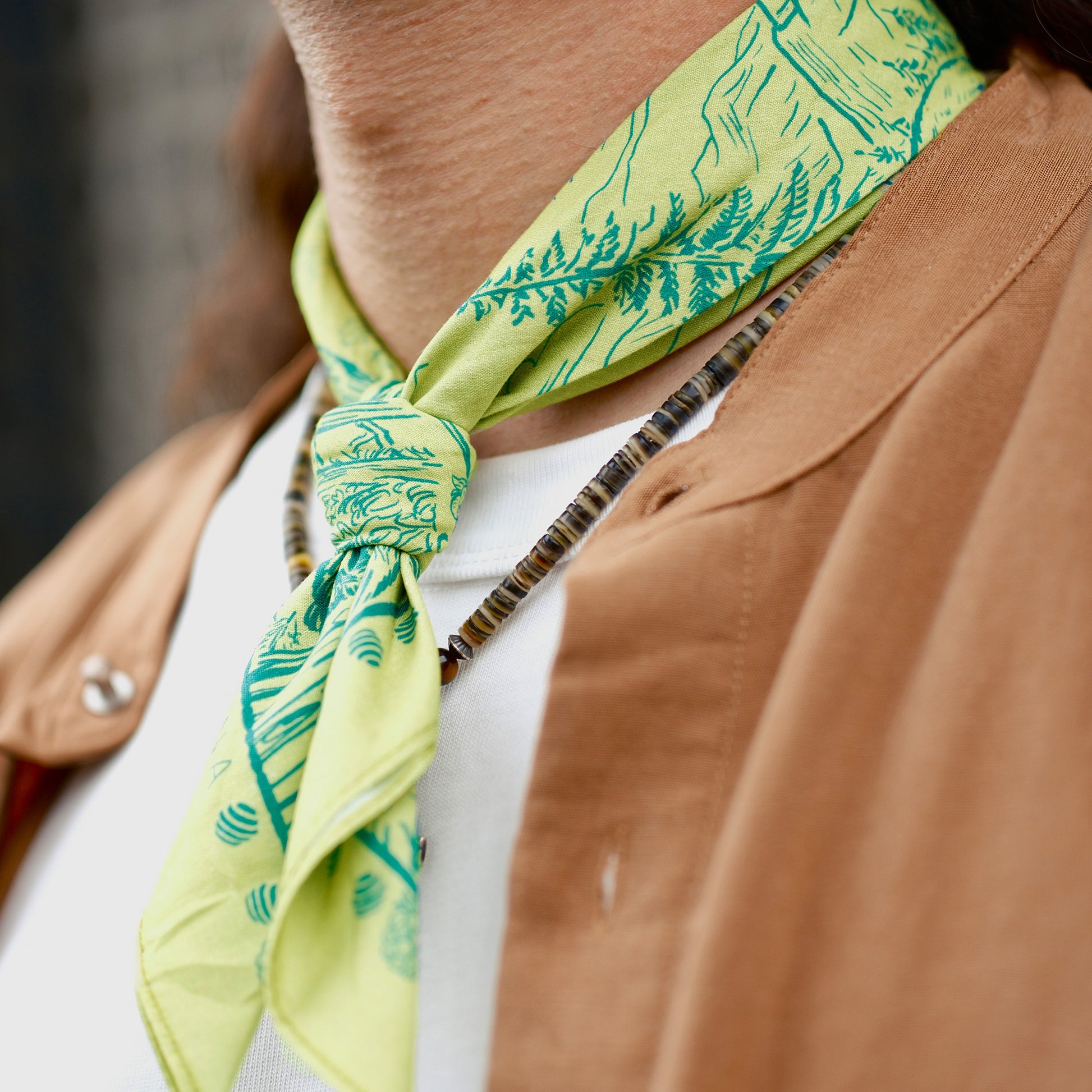 Brown Bear Bandana