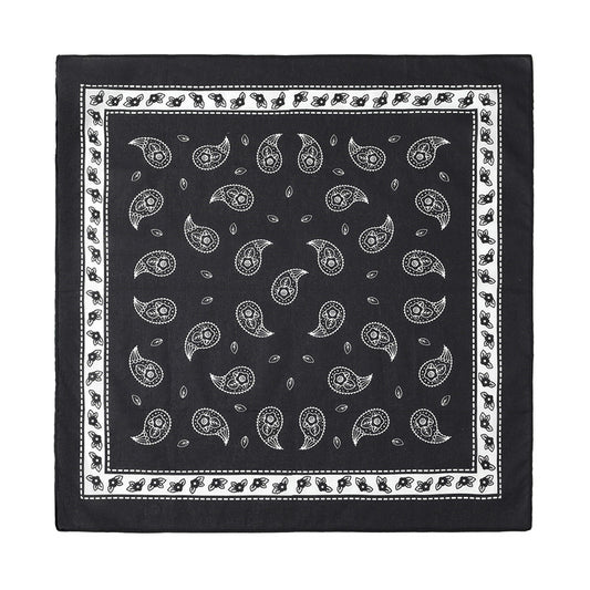 PAISLEY BANDANA