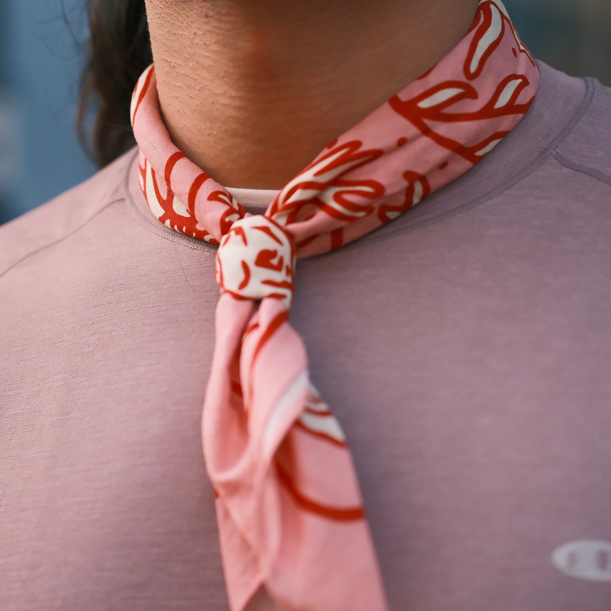 Animal Bandana