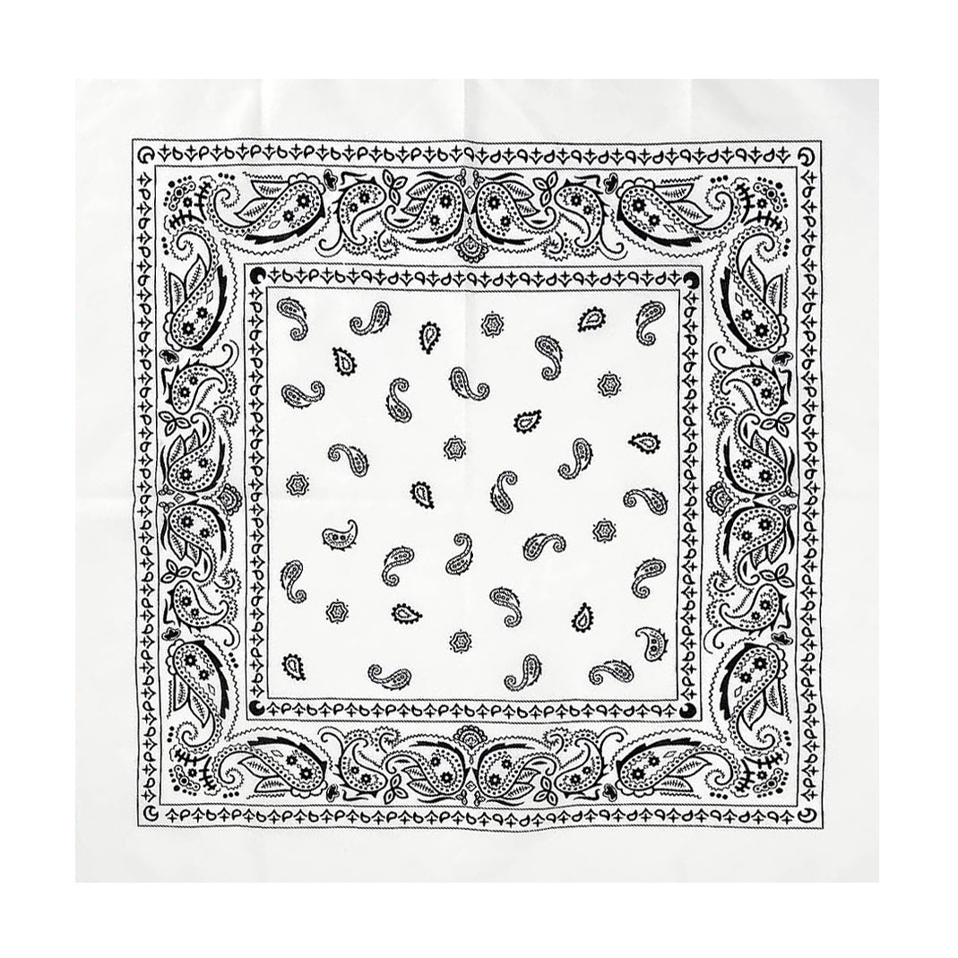 PAISLEY BANDANA