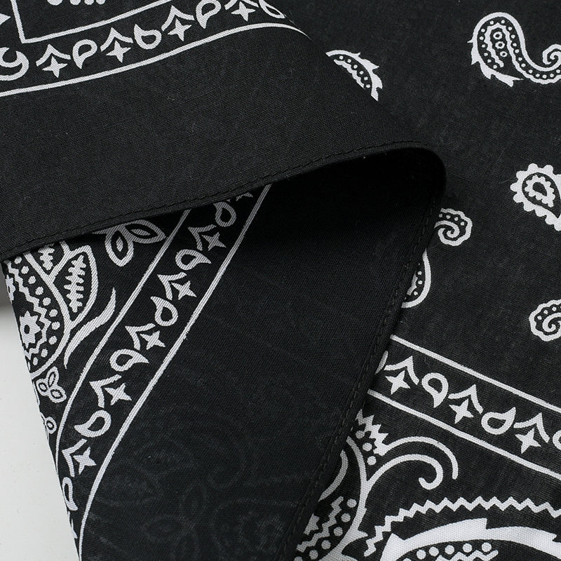 PAISLEY BANDANA