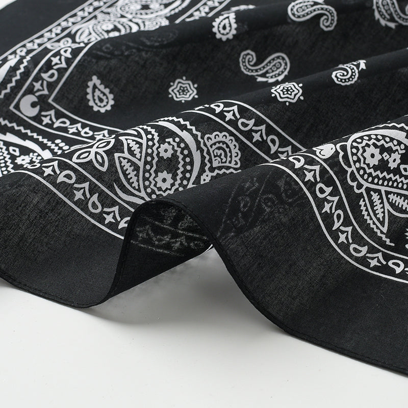 PAISLEY BANDANA