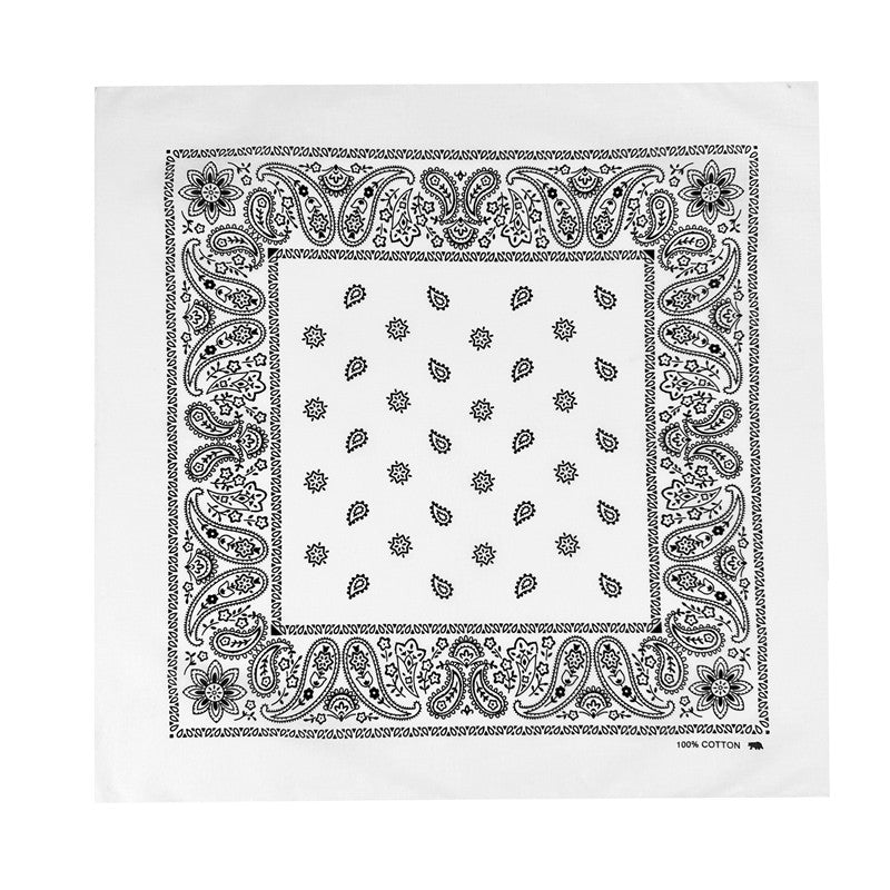 PAISLEY BANDANA