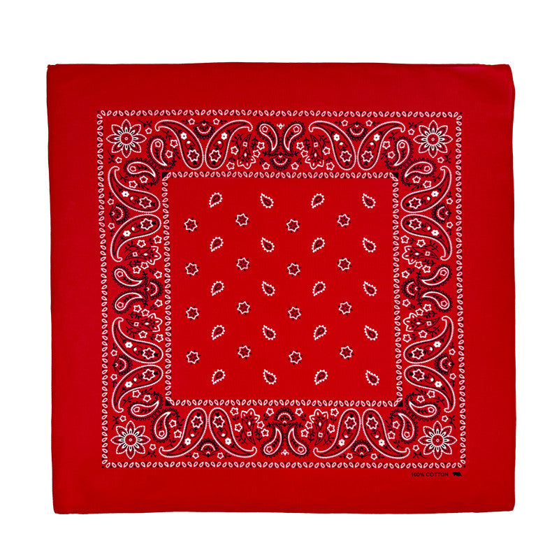 PAISLEY BANDANA