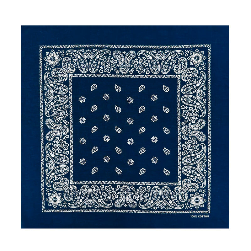 PAISLEY BANDANA