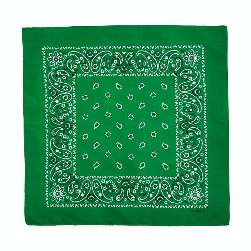 PAISLEY BANDANA