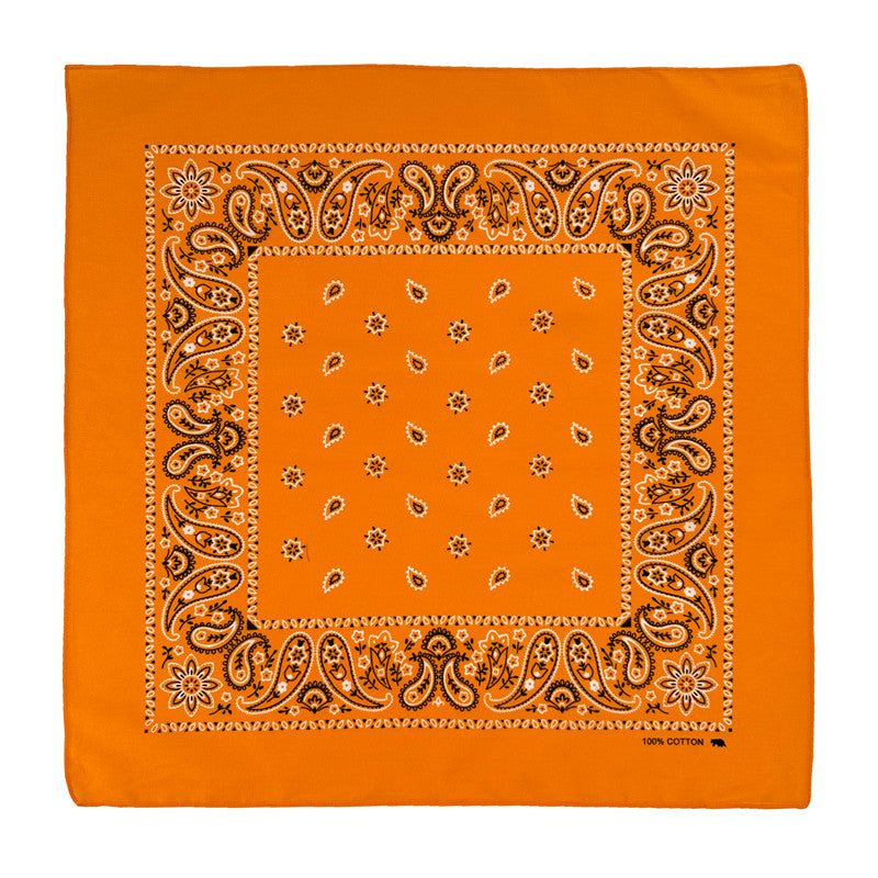 PAISLEY BANDANA