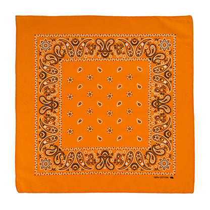 PAISLEY BANDANA