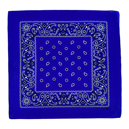 PAISLEY BANDANA