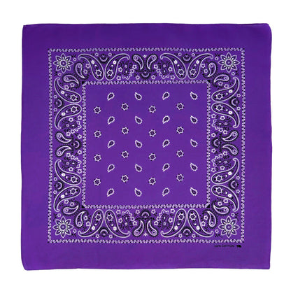 PAISLEY BANDANA