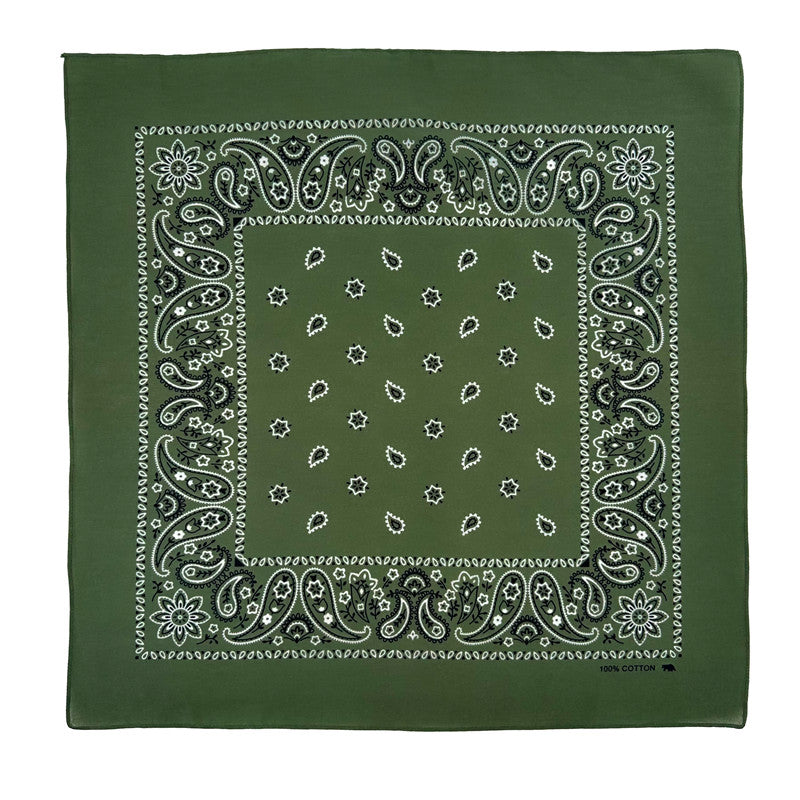 PAISLEY BANDANA