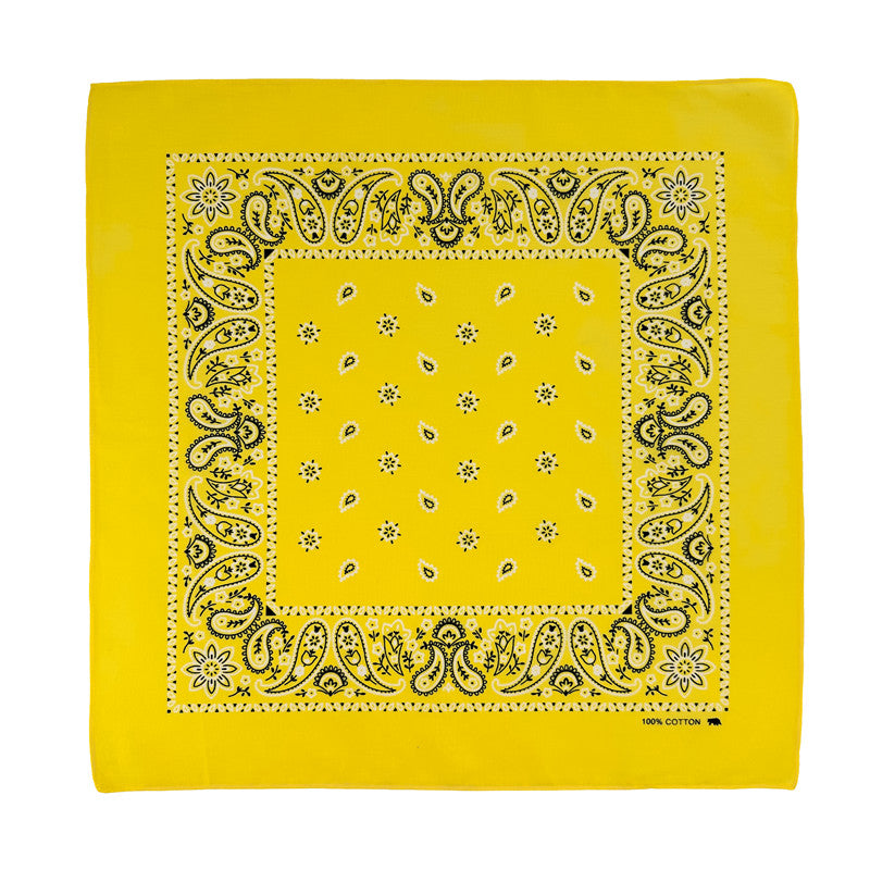 PAISLEY BANDANA