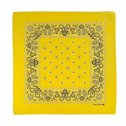 PAISLEY BANDANA