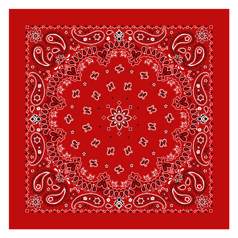 PAISLEY BANDANA