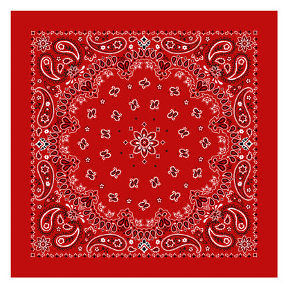 PAISLEY BANDANA