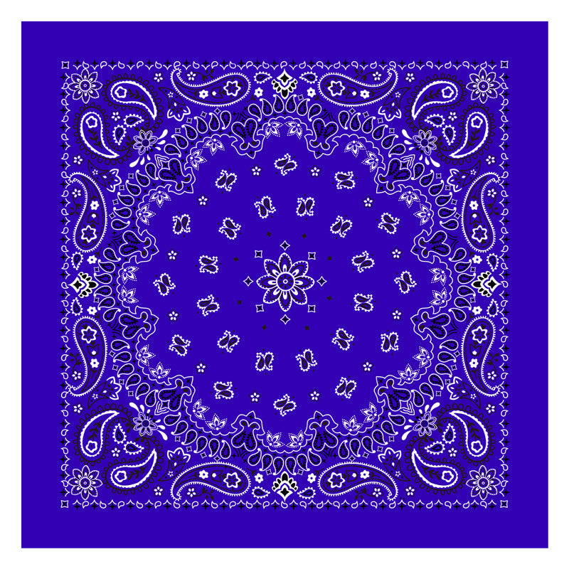 PAISLEY BANDANA