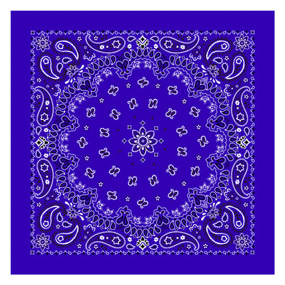 PAISLEY BANDANA