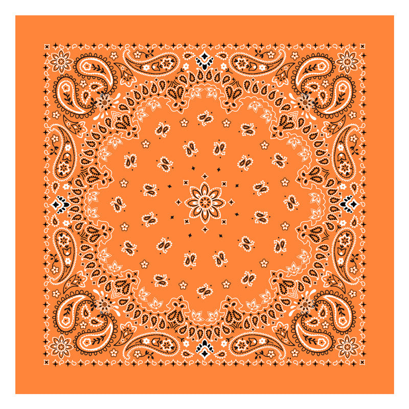 PAISLEY BANDANA