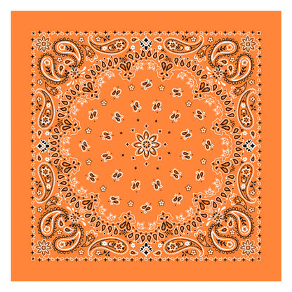 PAISLEY BANDANA