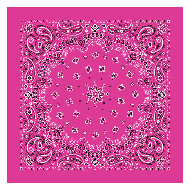 PAISLEY BANDANA