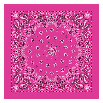 PAISLEY BANDANA