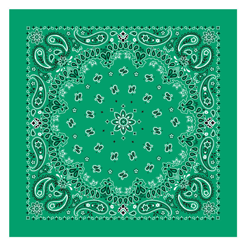 PAISLEY BANDANA