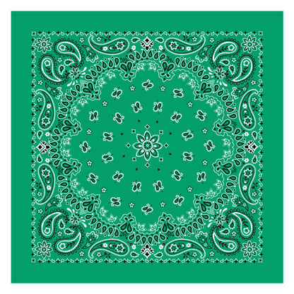 PAISLEY BANDANA