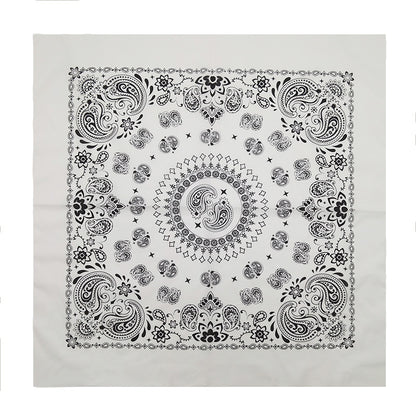 PAISLEY BANDANA