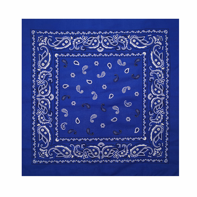 PAISLEY BANDANA