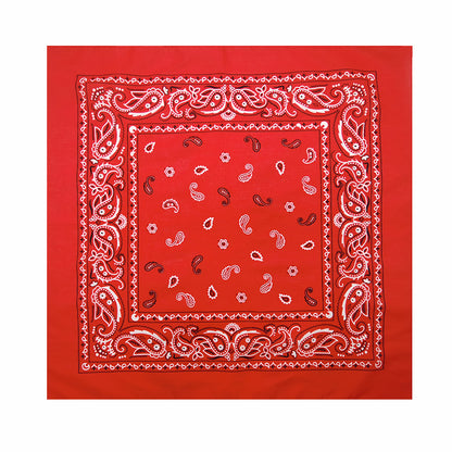 PAISLEY BANDANA