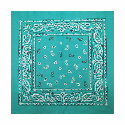 PAISLEY BANDANA