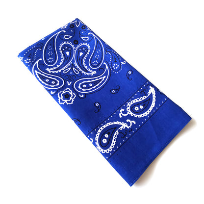 PAISLEY BANDANA