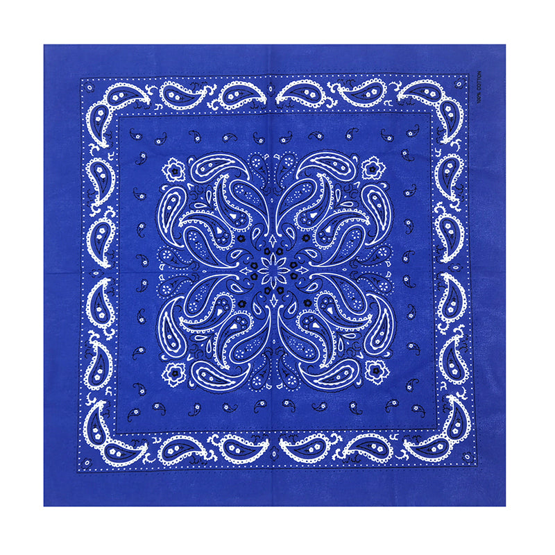 PAISLEY BANDANA