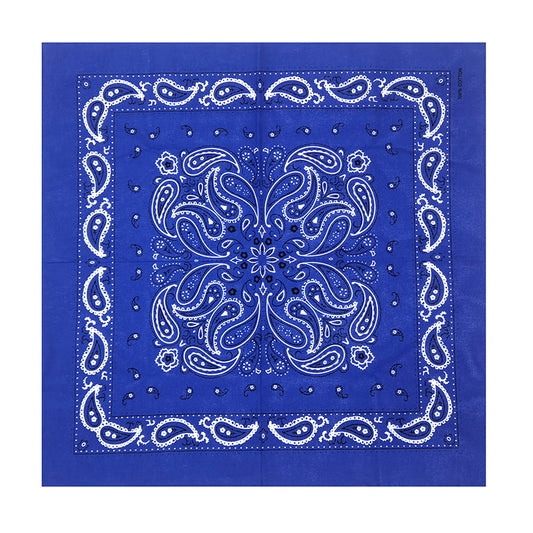 PAISLEY BANDANA