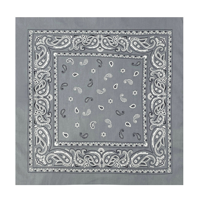 PAISLEY BANDANA