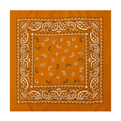 PAISLEY BANDANA